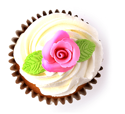 Boulangerie pâtisserie Anderlecht - Pâtisserie Théodor